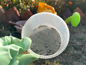 Зола как удобрение