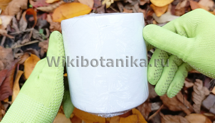 Бинтование деревьев на зиму