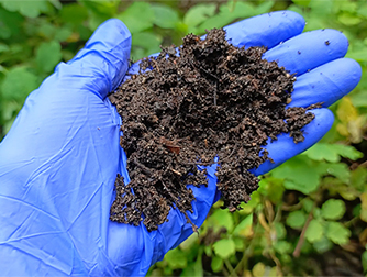 Что нельзя класть в компост