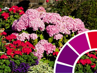 Дизайн клумб. Колористика и цветовые схемы