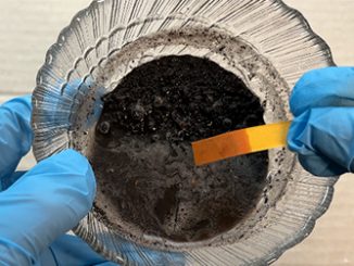 Как определить кислотность почвы в домашних условиях