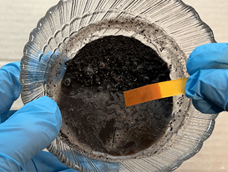 Как определить кислотность почвы в домашних условиях