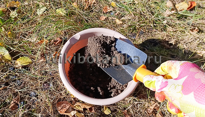 Как правильно собрать почву для определения кислотности