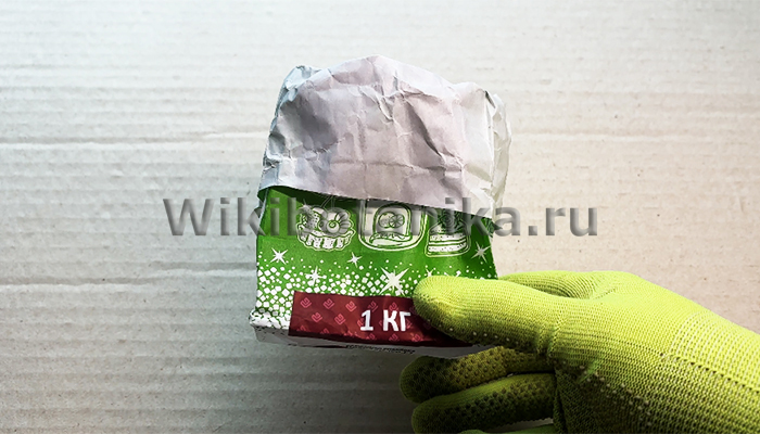 Томаты на рассаду в бумажном пакете