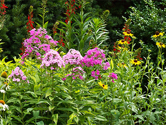 Малоуходная клумба