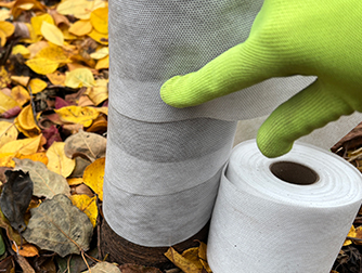 Обмотка деревьев на зиму