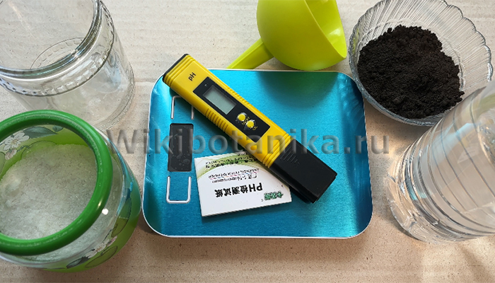 Что понадобится для определения кислотности почвы