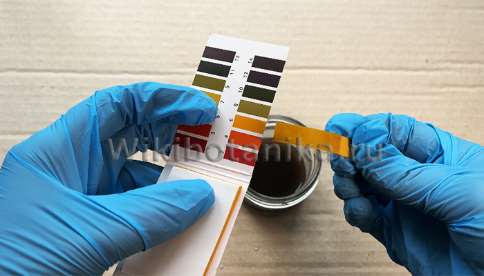 Определение кислотности почвы дома лакмусом