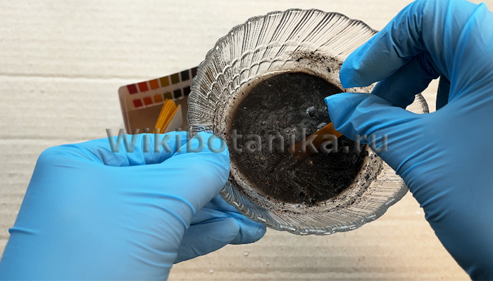 Ошибка в определении кислотности почвы