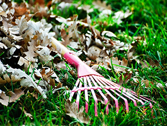 Подготовка сада и огорода к зиме
