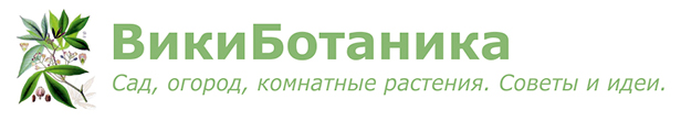 WikiBotanika.ru