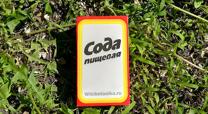 Сода в огороде