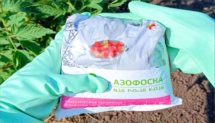 Состав азофоски