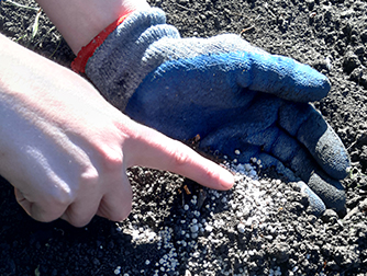 Совместимость удобрений друг с другом