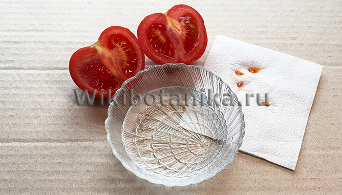 Томаты на рассаду без проращивания в воде