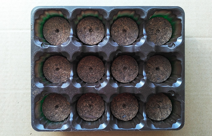 Как использовать торфяные таблетки для рассады