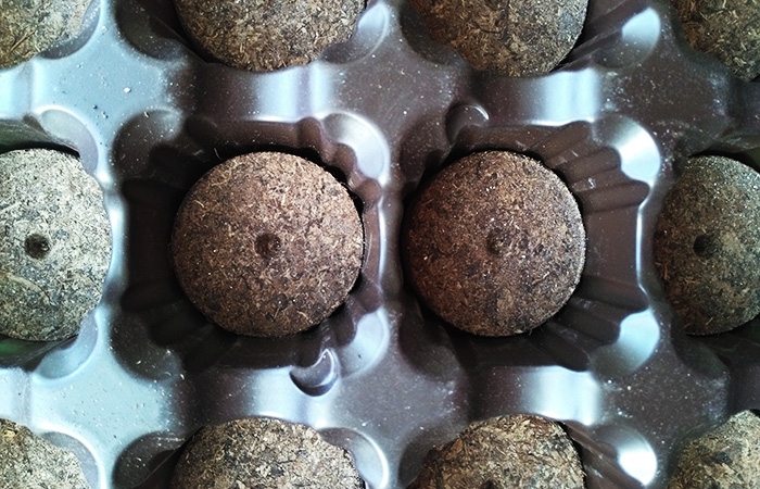 Внешний вид торфяных таблеток