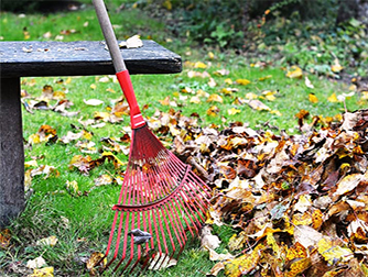 Осенняя уборка опавших листьев