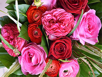 Укоренение розы из букета